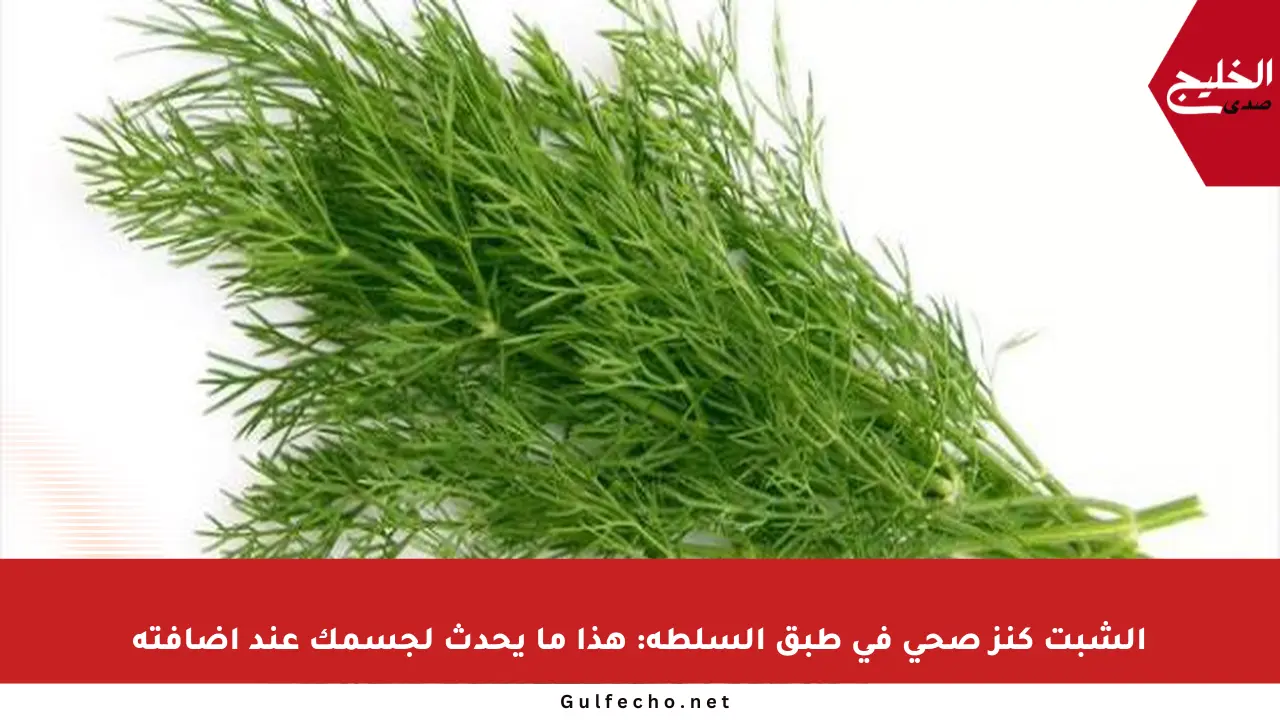 الشبت كنز صحي في طبق السلطة: هذا ما يحدث لجسمك عند إضافته
